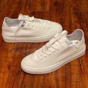 Brand New Sam Edelman Poppy Leather Lace Up Sneakers